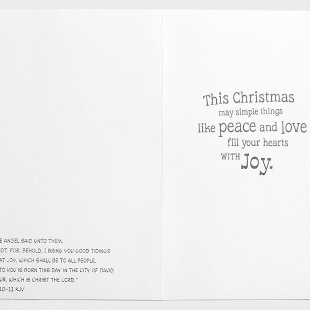 10 DaySpring Christmas Cards Peanuts Charlie Brown Good Tidings Great Joy KJV - Picture 8 of 8